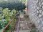 Immagine 18