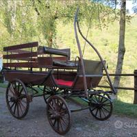 Carrozza per cavalli