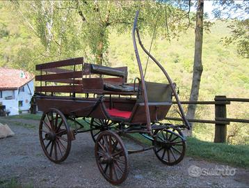 Carrozza per cavalli