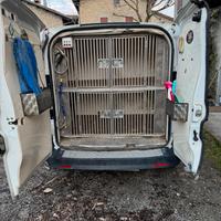 Fiat dobló trasporto cani