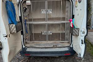 Fiat dobló trasporto cani