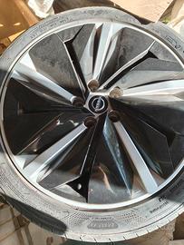 Cerchi in lega Nissan F16 R19