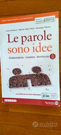 Le parole sono idee 