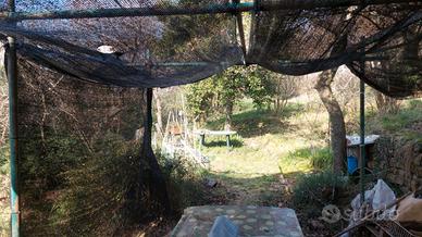 Terreno fondo agricolo