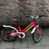 Bicicletta