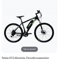 Bici elettrica Eur 350