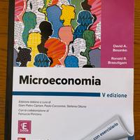 Microecononia, Besanko - Braeutigam, V edizione