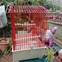 Gabbia per uccellini 