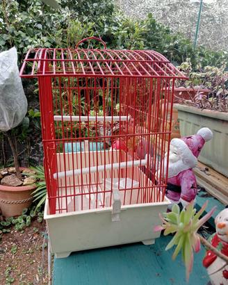 Gabbia per uccellini 