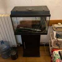 Acquario juwel 80 lt + accessori