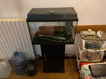 Acquario juwel 80 lt + accessori