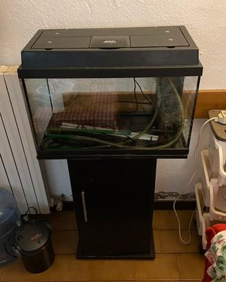 Acquario juwel 80 lt + accessori