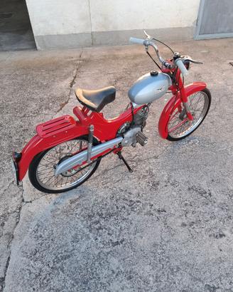 Moto guzzi dingo