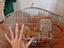 Immagine 3