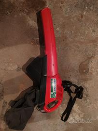 Soffione/aspiratore elettrico per foglie