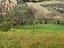 Immagine 13