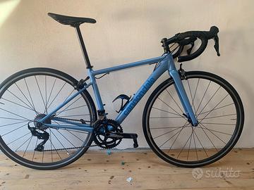 cannondale optimo