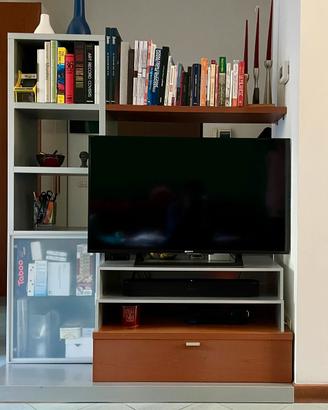 Mobile TV libreria bifacciale