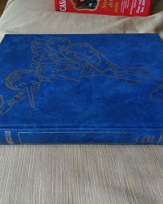 Pinocchio vari tipi Shackleton Morselli e altri