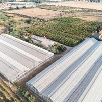 Azienda agricola con terreno non mutuabile