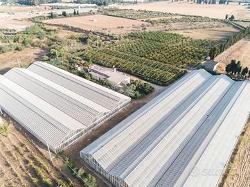 Azienda agricola con terreno non mutuabile