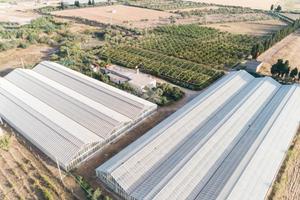 Azienda agricola con terreno non mutuabile
