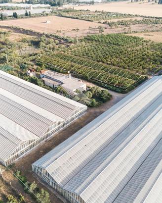 Azienda agricola con terreno non mutuabile