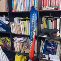 Sci Volkl SuperSport