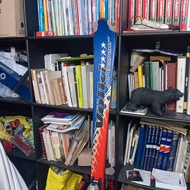 Sci Volkl SuperSport