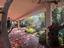 Immagine 14