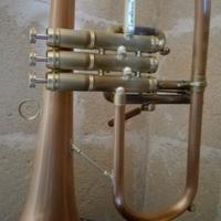 Flicorno soprano Carol Brass Custom 