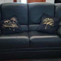 Divani in pelle