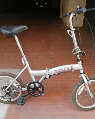 bicicletta pieghevole