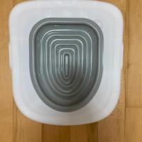 Kit addestramento per gattini