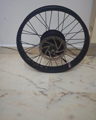 motore bici elettrica 