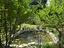 Immagine 26