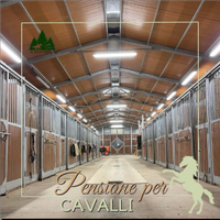 Pensione per cavalli