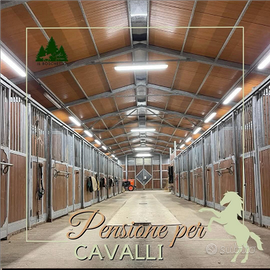 Pensione per cavalli