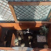 Terrari su misura per le vostre tartarughe