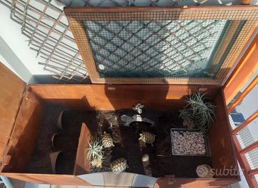 Terrari su misura per le vostre tartarughe