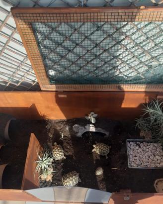 Terrari su misura per le vostre tartarughe