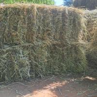 ballette di fieno prato stabile 