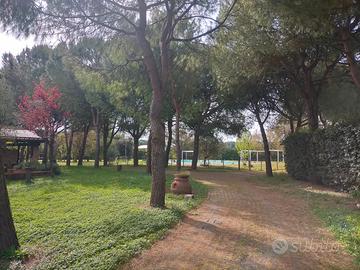 Bilocale con giardino Empoli ovest