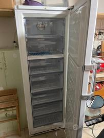 Congelatore a colonna Beko