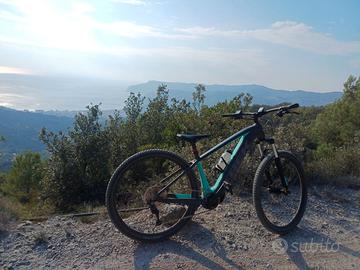 Trek e bike