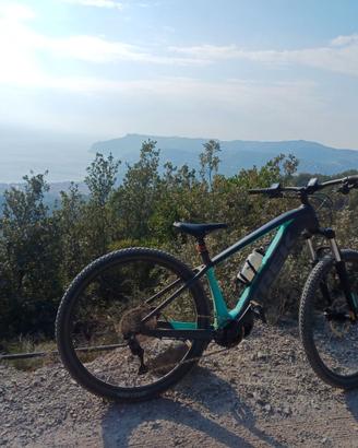 Trek e bike