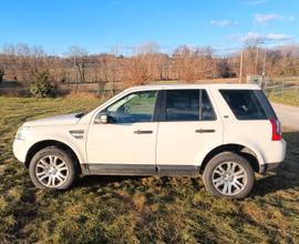 LAND ROVER Freelander 2ª serie - 2009 MOTORE NUOVO