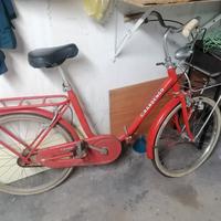 Bicicletta Graziellone