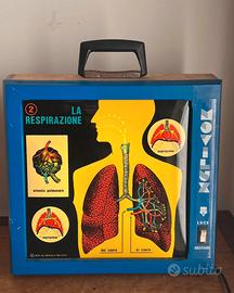 Sistema Movilux tecnovisual - strumento didattico