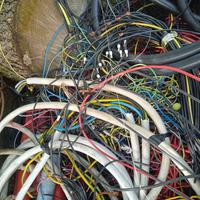 antiquariato di collezione 